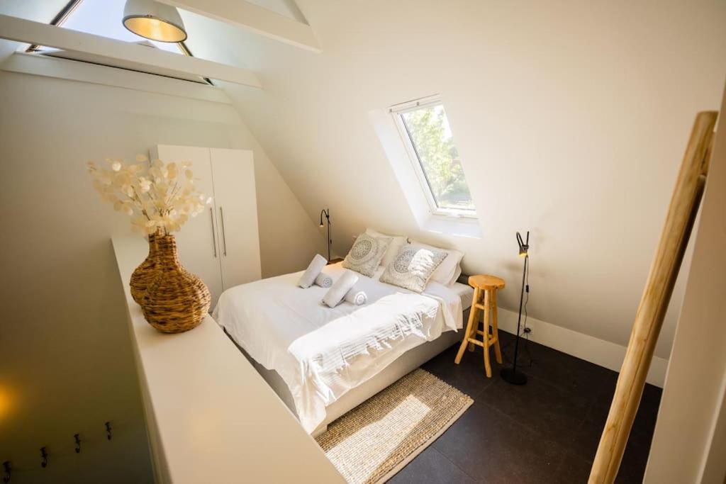 Apartment Wonderful 50m2 Loft - Ks8 *