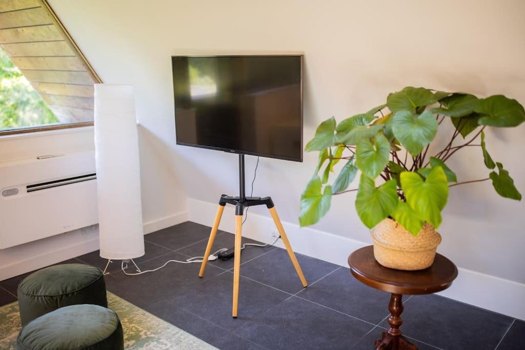 Wonderful 50m2 Loft - Ks8 Apartment *
